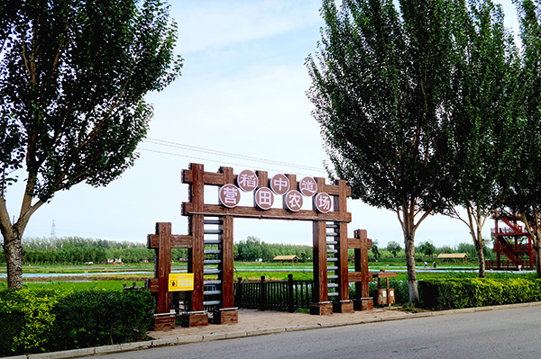 盤錦營田米業(yè)有限公司