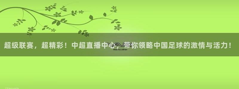 袋鼠直播nba在线看：超级联赛，超精彩！中超直播中心，带你领略中国足球的激情与活力！
