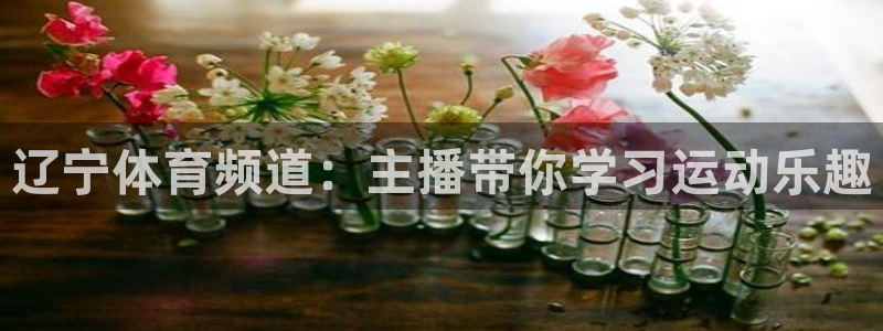 nba袋鼠直播在线观看：辽宁体育频道：主播带你学习运动乐趣