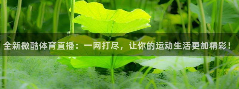 袋鼠体育直播在线观看免费：全新微酷体育直播：一网打尽，让你的运动生活更加精彩！