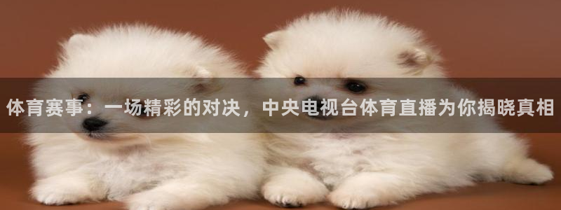 袋鼠直播在线观看nba：体育赛事：一场精彩的对决，中央电视台体育直播为你揭晓真相