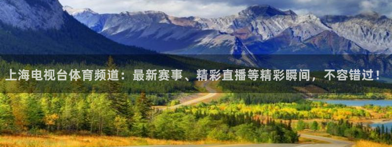 袋鼠直播足球：上海电视台体育频道：最新赛事、精彩直播等精彩瞬间，不容错过！