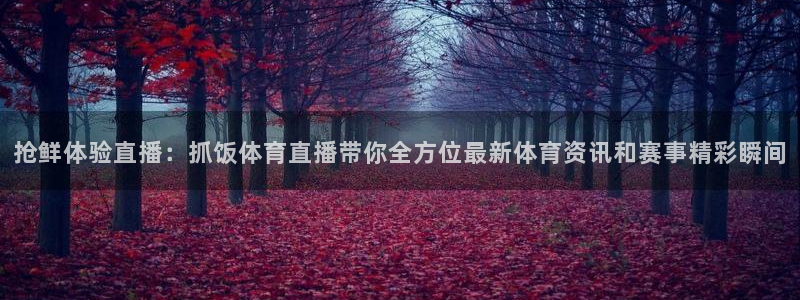 袋鼠nba直播在线观看：抢鲜体验直播：抓饭体育直播带你全方位最新体育资讯和赛事精彩瞬间