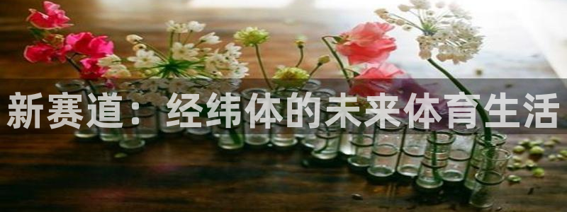袋鼠直播体育免费观看入口：新赛道：经纬体的未来体育生活