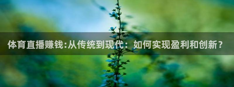 袋鼠体育在线直播：体育直播赚钱:从传统到现代：如何实现盈利和创新？